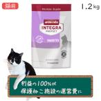 キャットフード 療法食、療養食