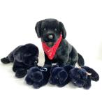 ダグラス DOUGLAS FAO シュワルツ ぬいぐるみ/ラブラドール   5体セット    ブラック