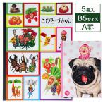 ko.....B5 Note [ дефект соответствует не возможно ]