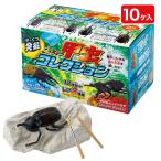  departure .. насекомое коллекция [ дефект соответствует не возможно ]