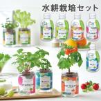 グリーンペット水耕栽培セット