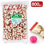 ショッピング恐竜 恐竜キャンディ【不良対応不可】