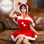 サンタコスプレ サンタコス サンタ衣装 レディース サンタコスプレ セット ねこ耳 ケープ付き ワンピース スカート