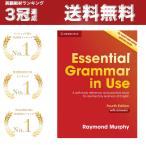 Essential Grammar in Use Supplementary Exercises 英語学習 初心者 TOEIC 英検 TOEFL