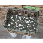  сад раковина Showa Retro . плитка раковина SS размер SS-218 плитка сток раковина 