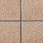  новый ji- сеть 100*150 100mm угол обратная сторона сеть обивка ( роза ) GK-100/10 / LIXIL INAX экстерьер пол плитка вход пол наружный пол 