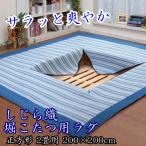 しじら織堀こたつ用 ラグ 洗える 2畳用 200×200cm 正方形 綿 爽やか 涼しい カーペット 絨毯 滑り止め付き 中綿入り ストライプ柄