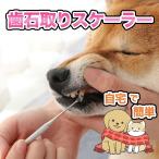 ペット用 スケーラー 犬 猫 ネコ 歯石除去 歯ブラシ 歯周病 虫歯予防 歯科