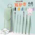 耳かき みみかき 耳掻き 6点セット PUレザー ケース付属 耳掃除 耳垢 掃除 子供 大人 赤ちゃん コンパクト ステンレス 携帯 耳掃除セット