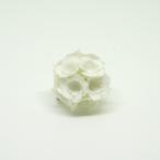fuji S イヤリング / ピアス ホワイト（片耳）AYUKO HISHIKAWA Paper Accessory（SIWA）