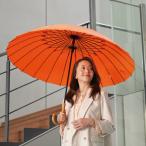 ショッピング骨傘 mabu 24本骨傘 江戸柄