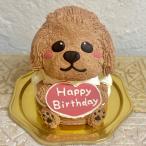 ケーキ 誕生日 トイプードル 犬 立体 子ども 子供 かわいい センイル 人気 5号 動物 送料無料
