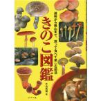 tsu. человек фирма .. . иллюстрированная книга / кошка pohs рейс OK