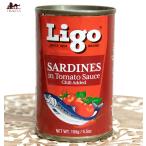 オイルサーディン いわし 缶詰 いわしのトマト煮 チリ味 SARDINES in Tomato Souce Chilli Added 155g