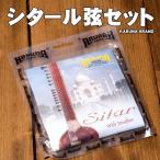 交換弦 予備 シタール SITAR Karuna Brand シタール弦セット ストリング 部品 民族楽器 インド楽器 エスニック楽器
