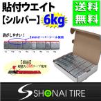 �������� �V�i1�� (60g�~100����)���v6kg SHONE �o�����X�E�G�C�g �V���o�[ �A���~�z�C�[���p ����3M�e�[�v �\��t���^�C�v ���� NO,FR59