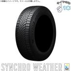 185/65R15 15 дюймовый всесезонный | Dunlop synchronizer weather только один стандартный товар 