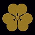  в общем дом . лакировка наклейка 47. одна сторона .|GD