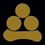  в общем дом . лакировка наклейка 60. Watanabe звезда |GD