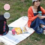 スローケット マルチケット マルチカバー ひざ掛け 敷物 レジャーシート タオルケット 綿 140×100 インテリア ランダムボーダー スローケット zisic2348