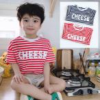 tシャツキッズ半袖ボーダー男の子女...