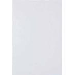 TRUSCO(トラスコ) マグネットシート艶無200X300 白 MS-N2-W