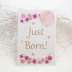meido in .... baby man s Lee карта 18 шт. комплект 5 лет до design2 flower месяц . фото месяц . карта цветок рост регистрация 
