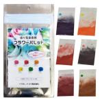 フラワーパレット 切り花染色剤 自由研究 フラワーアレンジメント プレゼント (6色セット)