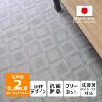 カーペット 2畳 日本製 絨毯 抗菌防臭 ホスタ 176×176cm 江戸間 2畳用 2帖 グレー 正方形 辻川産業株式会社