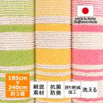カーペット ラグ 185 240 綿 コットン 
