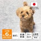 防ダニ カーペット 江戸間 6畳サイズ 日本製 抗菌防臭 犬 猫 ペット対応 パンジー 6畳用 6帖 261×352cm グレー 辻川産業株式会社