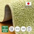 ショッピングカーペット カーペット 190 240 やわらか シャギーラグ 緑 洗える 日本製 防音 ラグシャギー 190×240cm グリーン 約3畳 辻川産業
