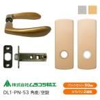  пятно kosi..DL1-PN-53( Gold * серебряный ) пустой таблеток re рукоятка-перекладина комплект угол сиденье задний комплект 50mm 8mm угол сердцевина 6R передний замена замена камера la таблеток техническое обслуживание 