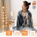 電気毛布 敷き毛布 掛け敷き兼用 USB給電 日本製ヒーター 電気ブランケット 160×80cm フランネル ダニ退治 掛け敷き 敷毛布 軽量 丸洗い 速暖 寒さ対策