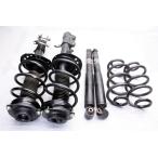 NT31 X-trail H20 год 4WD оригинальный strut suspension амортизатор 54302 JG02A 54303 JG02A 56210 JG02A H5M...