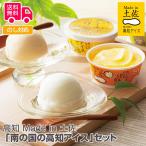 ショッピングお中元 アイス 高知 Made in 土佐南の国の高知アイス高知アイスセット プレゼント ギフト 内祝 御祝 贈答 送料無料 お歳暮 御歳暮 お中元 御中元