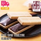  Tokyo * Shinjuku цветок . десять тысяч голова цветок . в середине подарок подарок внутри праздник . праздник .. бесплатная доставка подарок по случаю конца года . лет . подарок на Bon Festival . средний изначальный 