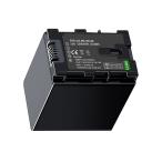 【送料無料】JVC GZ-HM690 リチャージ�