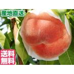 [ предварительный заказ ] белый . персик ( для бытового использования )[3kg коробка ]( Yamanashi префектура Итиномия производство ..) прямая поставка от производителя бесплатная доставка *7 месяц средний ... последовательный отправка 