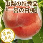  белый персик ( Special превосходящий )[4kg несессер ]( Yamanashi префектура Итиномия производство ..) бесплатная доставка прямая поставка от производителя * название производство земля Итиномия. Special превосходящий товар..* лето. подарок тоже пожалуйста.