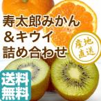  мандарин . Taro &amp; киви фрукты набор для бытового использования 5kg коробка Shizuoka префектура производство прямая поставка от производителя бесплатная доставка 