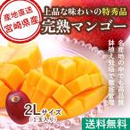  Special превосходящий Miyazaki манго Special превосходящий 2L размер 350g и больше 1 шар .. для прямая поставка от производителя бесплатная доставка фрукты подарок День отца подарок на Bon Festival подарок 