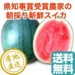  арбуз фрукты Fruits маленький шар арбуз 2L размер 2.3kg~2.7kg 3 шар Chiba префектура Tomisato производство префектура губернатор . выигрыш сельское хозяйство дом. осень запад .