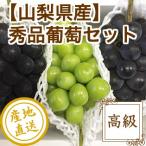  подарок на Bon Festival подарок виноград фрукты Fruits превосходящий товар ..2 -цветный набор автомобиль in мускат .pio-ne.. для 2.5kg коробка 3~4. ввод Yamanashi префектура производство бесплатная доставка . средний изначальный осталось жара видеть Mai .
