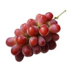  Sunny Dolce ( превосходящий товар )[4kg коробка (4~6.)] * Yamanashi префектура производство. красный ..