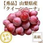  виноград фрукты Queen колено na Special превосходящий товар .. для 1. ввод 700g несессер Yamanashi префектура производство прямая поставка от производителя бесплатная доставка День почитания пожилых людей осталось жара . видеть Mai подарок фрукты 