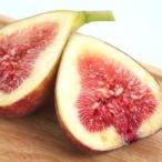  подарок на Bon Festival подарок инжир фрукты Fruits...... превосходящий товар тщательно отобранный большой шар 12 штук несессер Fukuoka префектура производство прямая поставка от производителя бесплатная доставка . средний изначальный фрукты подарок 