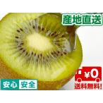  киви ( разделение слово )L размер (5kg коробка )[ Odawara производство ]