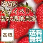  клубника фрукты fruits специальный отбор .. Sky Berry Tochigi префектура подлинный холм производство крупный клубника подарок .. для 2 упаковка ввод примерно 620g бесплатная доставка 