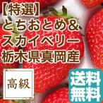  клубника набор ........ Sky Berry. специальный отбор крупный клубника Tochigi префектура подлинный холм производство подарок .. для 2 упаковка ввод 1 упаковка примерно 375g×2 бесплатная доставка 
